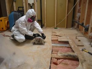 Commercial Restoration Mold Removal