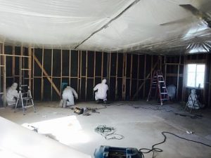 Mold Removal Long Beach